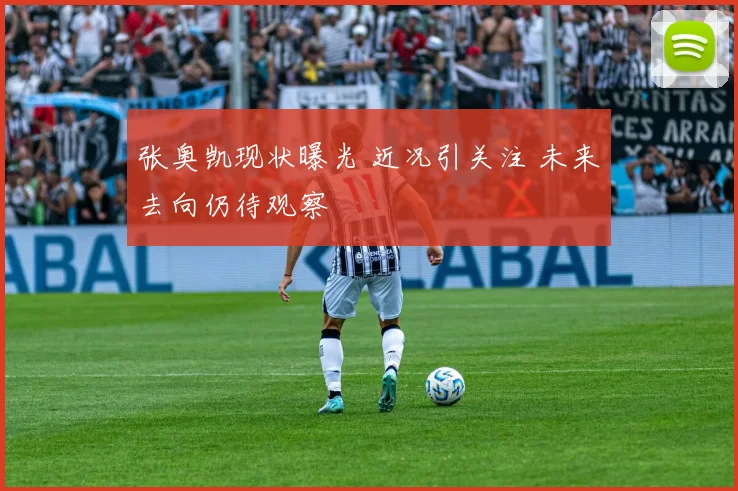 张奥凯现状曝光 近况引关注 未来去向仍待观察